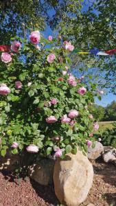 Maisons d'hotes Chambre d-Hote La Bergerie des Roses : photos des chambres