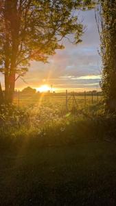 Urlaub auf dem Alpakahof Nähe Velgast