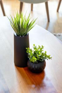 Pia Homes- Gümüşsuyu