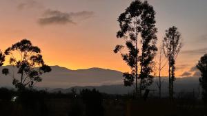 Hostal Oasis del Refugio