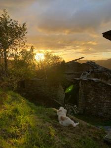 39A01 La Casita Olga Casa en plena naturaleza by R2R Consulting