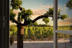 Hotels Chateau Cordeillan-Bages : photos des chambres