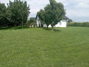 Domki w Winnicy - Świętokrzyska Winnica Knapów