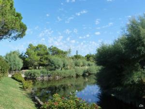 Apartments in Lignano 21634