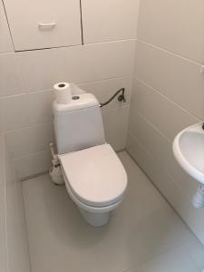 Apartament pod Kasztanami