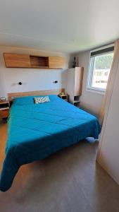 Mobil home neuf 40 m2 - 2 chambres - 100 m plage et belle vue sur la lagune et les Pyrénées