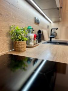 Horský apartmán s výhledem do lesa, terasa, kvalitní wi-fi, parkování zdarma - opětovně otevřeno červenec 2025 po kompletní rekonstrukci