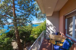 Apartment in Jadranovo 14272