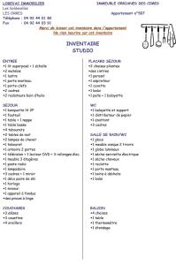 Résidence Orr Des Cimes - LES ORRIANES DES CIMES - Studio 4 Pers vue pistes MAE-6281