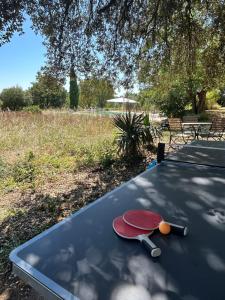 Authentique mas provençal avec piscine