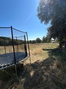 Authentique mas provençal avec piscine
