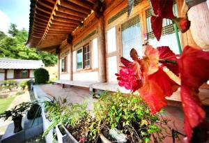 wandoyeulrimhanogpensyeon