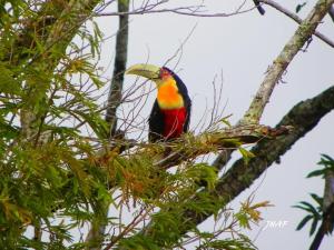 Casa de Campo Alto Caparaó Por do Sol