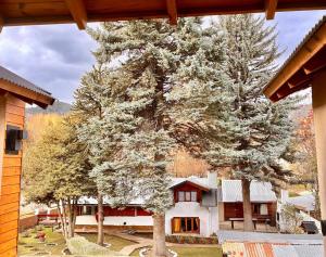 Departamento Céntrico