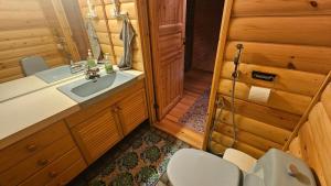 Mökki ison vesistön rannalla