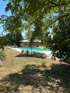 Authentique mas provençal avec piscine