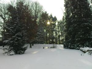 Maisons de vacances Holiday Home in Limousin near Forest, cleaning included : photos des chambres