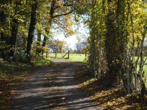 Maisons de vacances Holiday Home in Limousin near Forest, cleaning included : photos des chambres