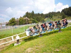 Holiday apartment in St Englmar