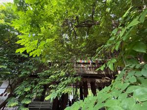 Hotel Green Heaven Resort