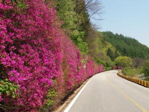 Chiak Moutain Hanok Pension