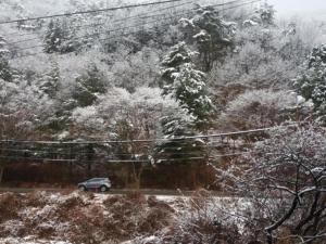 Chiak Moutain Hanok Pension