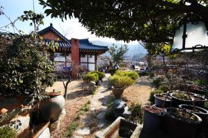 yeosunoeulhanogpensyeon