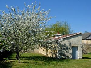 Maisons de vacances Maison de campagne avec jardin prive, proche Chateaux de la Loire et Futuroscope. - FR-1-381-288 : photos des chambres