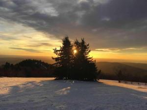 Maisons de vacances Holiday Home in Vosges with Garden and BBQ, cleaning included : photos des chambres