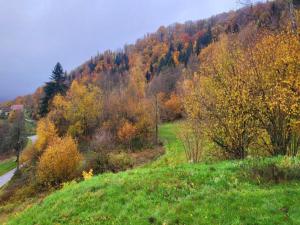 Maisons de vacances Holiday Home in Vosges with Garden and BBQ, cleaning included : photos des chambres