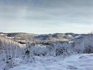 Maisons de vacances Holiday Home in Vosges with Garden and BBQ, cleaning included : photos des chambres