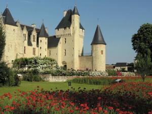Appartements Eco Apartment in Loire : photos des chambres