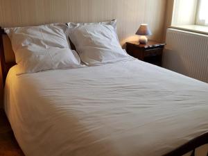 Maison de campagne rénovée avec charme, draps inclus - FR-1-489-177