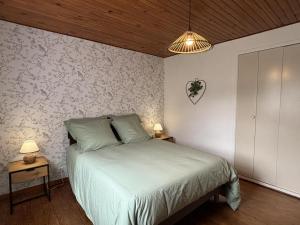 Maisons de vacances Maison de montagne avec SPA, cheminee et activites proche voisins - FR-1-489-534 : photos des chambres