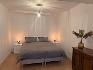 Appartements Gite moderne au coeur de Moulins, 4 pers, tout compris - FR-1-489-570 : photos des chambres