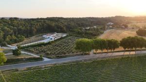 Villa Noyau & Pépin