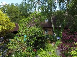 Maisons de vacances Maison de charme avec jardin luxuriant, pres de la Suisse Normande, ideale pour deconnexion totale - FR-1-497-35 : photos des chambres