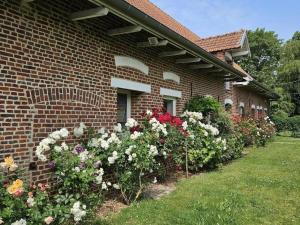 Maisons de vacances Gite independant avec jardin prive, Wi-Fi et climatisation a proximite de Lille - FR-1-510-230 : photos des chambres