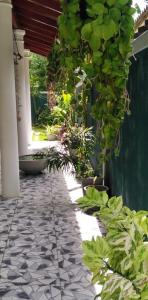 Southern bay villa