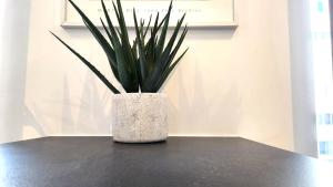 Appartements L-Azur Papety : photos des chambres