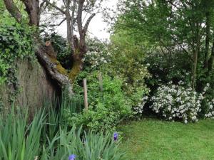 Maisons de vacances Evasion a Luzille : Havre de Paix avec Jardin Privatif, proche Chenonceau et Beauval - FR-1-381-303 : photos des chambres