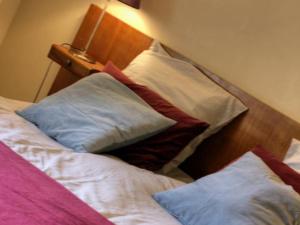 Gîte historique avec Wi-Fi et animaux acceptés à Sainte-Croix-en-Jarez - FR-1-496-275