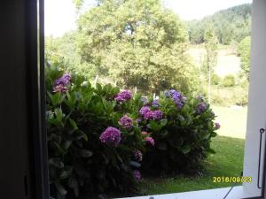Maisons de vacances Gite rural familial avec jardin, terrasse et equipements modernes pres du Parc Livradois Forez - FR-1-496-22 : photos des chambres