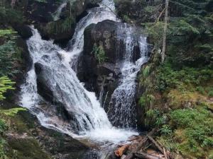 Gîte douillet avec terrasse, jardin et cheminée à Saint-Priest-la-Prugne - FR-1-496-348