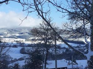 Gîte douillet avec terrasse, jardin et cheminée à Saint-Priest-la-Prugne - FR-1-496-348