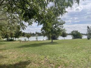 Maisons de vacances Charmants chalets au bord du lac avec terrasse, activites nautiques et peche, animaux acceptes, tout inclus - FR-1-489-361 : photos des chambres