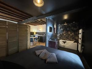 Appartements Studio cosy avec baignoire balneo pres de Vichy - FR-1-489-520 : photos des chambres