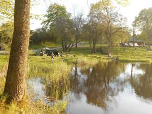 Maisons de vacances Chalets independants en camping 2 etoiles avec terrasse – Ideal famille, activites et jeux pour enfants - FR-1-489-405 : photos des chambres