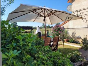 Maisons de vacances Gite familial a la ferme avec terrasse - chevaux, poneys, proche Montlucon et thermes Neris les Bains - FR-1-489-430 : photos des chambres