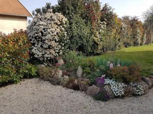 Maisons de vacances Gite familial renove a la campagne avec jardin, 4 chambres, proche loisirs et attractions - FR-1-489-61 : photos des chambres